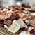 Copper Prices on the Rise